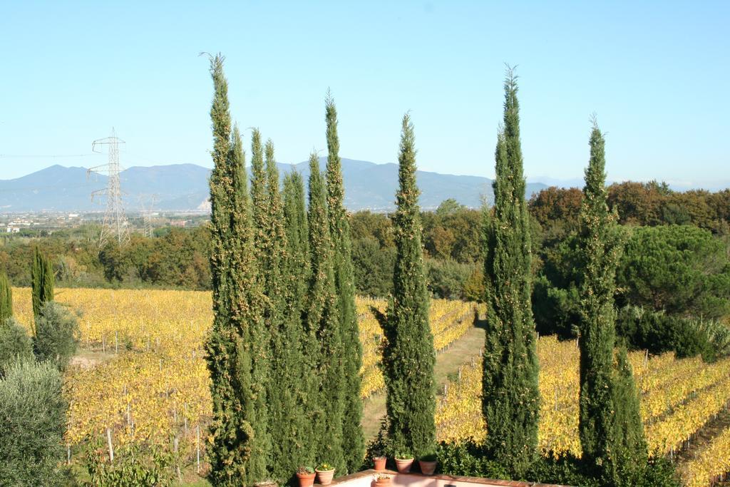 Agriturismo Gli Archi Fauglia Exterior photo
