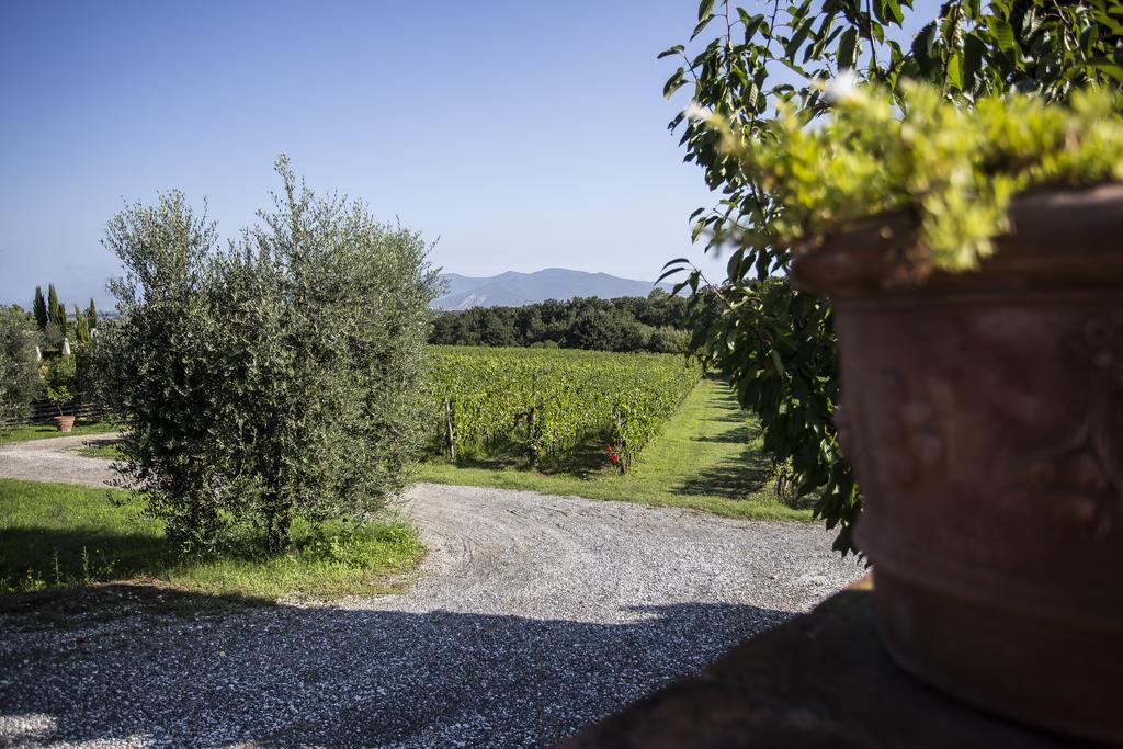 Agriturismo Gli Archi Fauglia Exterior photo