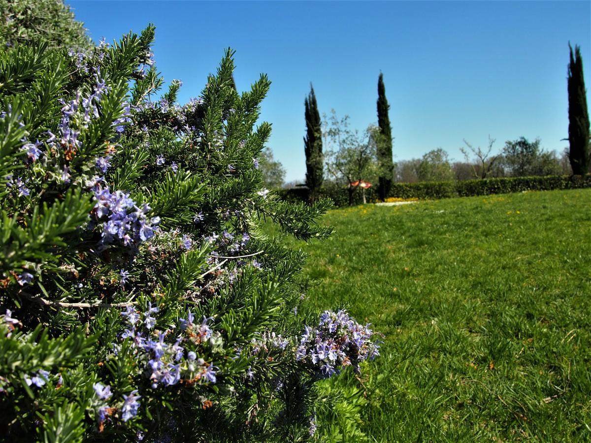 Agriturismo Gli Archi Fauglia Exterior photo