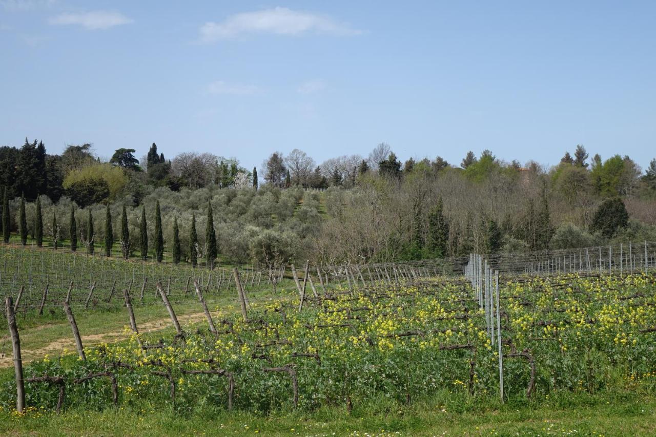 Agriturismo Gli Archi Fauglia Exterior photo